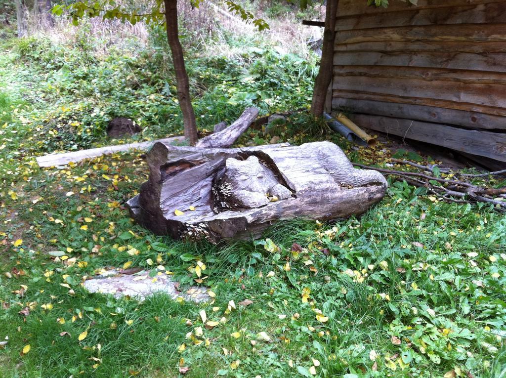 Chata Devena Valča 部屋 写真